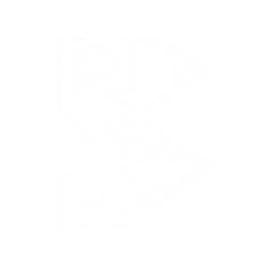 STALCRAFT
